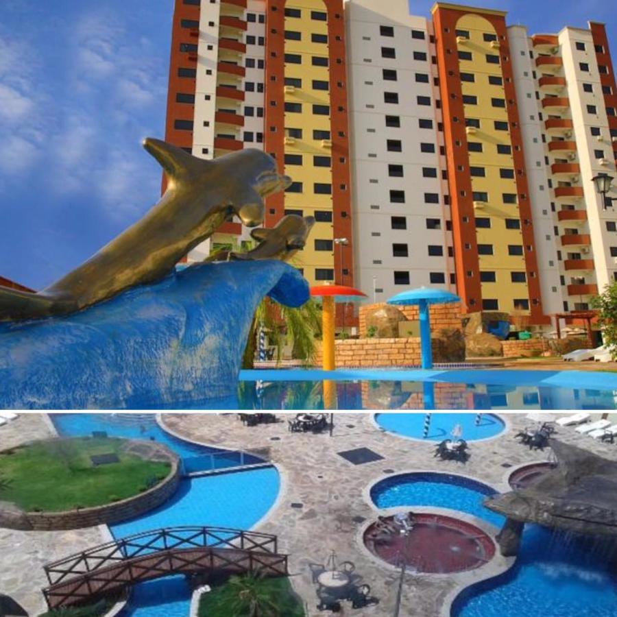 Golden Dolphin Supreme: Pet-friendly Flat With King Bed Apartment *